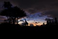 Silhouette tree and giraffe on sunset Royalty Free Stock Photo