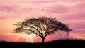 Silhouette tree and grass and bird in Pink purple sky cloud background Royalty Free Stock Photo