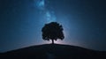 Silhouette of a tree on a hill with a starry night sky and the Milky Way Royalty Free Stock Photo