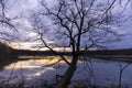 Silhouette of tree by the lake during sunset Royalty Free Stock Photo