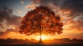 Silhouette of a tree without leaves against the sunset, creating a feeling of autumn melancholy and tranquility Royalty Free Stock Photo