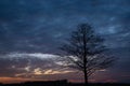 Silhouette of a tree without leaves, beauty clouds after sunset Royalty Free Stock Photo