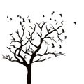 Silhouette of a tree without leaves and birds flying Royalty Free Stock Photo
