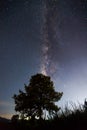 Silhouette of Tree and Milky Way. Long exposure photograph Royalty Free Stock Photo
