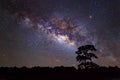 Silhouette of Tree and Milky Way. Long exposure photograph Royalty Free Stock Photo