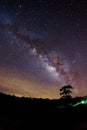 Silhouette of Tree and Milky Way. Long exposure photograph Royalty Free Stock Photo