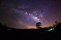 Silhouette of Tree and Milky Way. Long exposure photograph Royalty Free Stock Photo