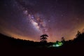 Silhouette of Tree and Milky Way. Long exposure photograph Royalty Free Stock Photo