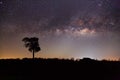 Silhouette of Tree and Milky Way. Long exposure photograph Royalty Free Stock Photo