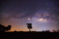 Silhouette of Tree and Milky Way. Long exposure photograph Royalty Free Stock Photo