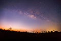 Silhouette of Tree and Milky Way. Long exposure photograph Royalty Free Stock Photo