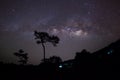 Silhouette of Tree and Milky Way. Long exposure photograph Royalty Free Stock Photo