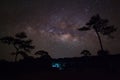 Silhouette of Tree and Milky Way, Long exposure photograph,with Royalty Free Stock Photo