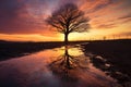 silhouette of a tree reflected in a puddle at sunset Royalty Free Stock Photo