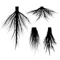 Silhouette Tree Roots Vector set. Royalty Free Stock Photo