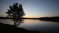 Silhouette of a tree at the shore of a lake on the background of a sunset Royalty Free Stock Photo