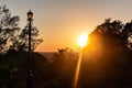 Silhouette tree slope with sunny beams Royalty Free Stock Photo