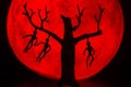 The silhouette of a tree standing dead with a man hanged dead to the bone. There`s a red full moon in the background. Halloween Royalty Free Stock Photo