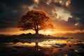 Silhouette of a tree with sun rays in the background Royalty Free Stock Photo