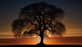 a silhouette of a tree with the sun setting in the background. generative ai Royalty Free Stock Photo