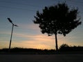 Silhouette of a tree after sunset