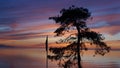 Silhouette of a tree surrounded by the sea under a cloudy sky during the sunset Royalty Free Stock Photo