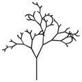 The silhouette of a tree with a trunk and branches without leaves. Black and white vector icon Royalty Free Stock Photo