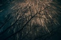 Silhouette of tree twigs against firework trails Royalty Free Stock Photo