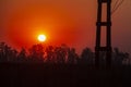 Silhouette of trees against a beautiful red sunset sky Royalty Free Stock Photo