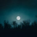 Silhouette of trees against moonlit night sky background