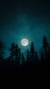 Silhouette of trees against moonlit night sky background