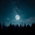 Silhouette of trees against moonlit night sky background