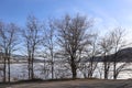 Silhouette of trees with blue sky