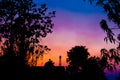 Silhouette of Trees, Building, and Telecom Tower in Evening