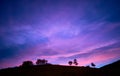 Silhouette of trees in horizontal line at sunset. Blue, purple, pink, mauve color. Concept tranquility, loneliness, relaxation Royalty Free Stock Photo