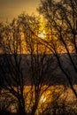 Silhouette of trees on the lakeshore against a beautiful sunset