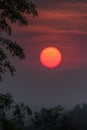 silhouette trees on mountain in spooky sunset sky atmosphere Royalty Free Stock Photo