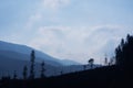 Silhouette of trees and mountains, panoramic photo, real photo Royalty Free Stock Photo