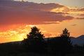 Silhouette of trees at sunrise, Colorado