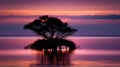 Silhouette of a trees in the water at sunset with reflection, Scenic view of sea against sky at sunset, peaceful wallpaper, Royalty Free Stock Photo