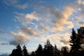 Silhouette of treetops against a colorful blue sky and clouds highlighted by setting sun, as a nature background