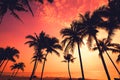 Silhouette of tropical beach during sunset twilight.