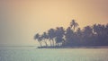 Relaxing silhouettes of palm trees and amazing sky on sunset at tropical island in Indian Ocean Royalty Free Stock Photo