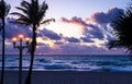 Silhouette Tropical Palm Trees At Sunrise in Hollywood Florida beach