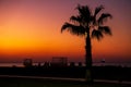 Silhouette Tropical Palm Trees At Sunset, Summer Vacation Royalty Free Stock Photo