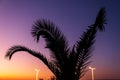 Silhouette Tropical Palm Trees At Sunset, Summer Vacation Royalty Free Stock Photo