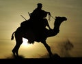 Silhouette of Tuareg rider and camel rising