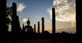 Silhouette Twilight Buddha Statue