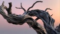Silhouette of a twisted tree branch against a blue sunset generated by AI Royalty Free Stock Photo