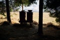 Silhouette two beehives at the edge of the forest